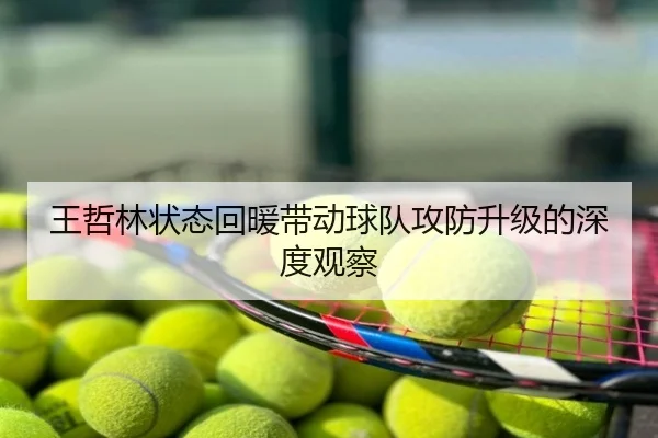 王哲林状态回暖带动球队攻防升级的深度观察