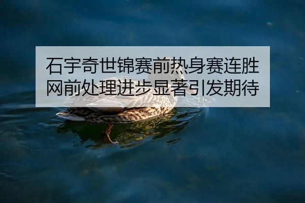 石宇奇世锦赛前热身赛连胜 网前处理进步显著引发期待